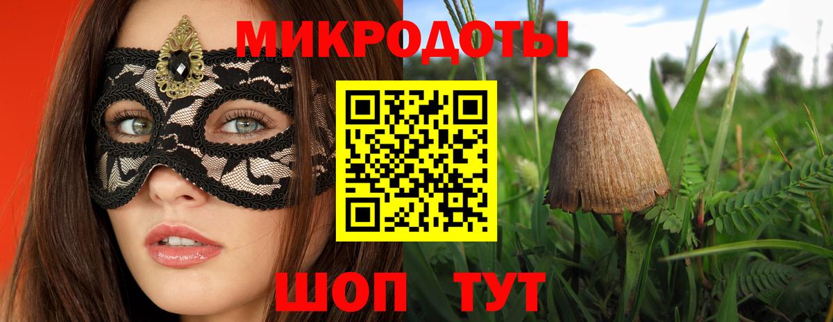 где продают   Псилоцибиновые грибы Cubensis  Вход с VPN  Усть-Джегута 