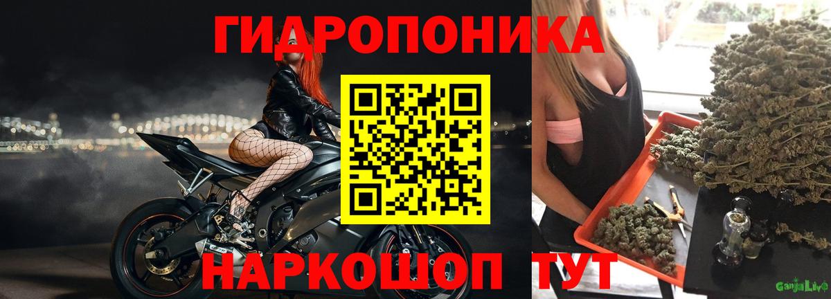 Марихуана тримм Усть-Джегута